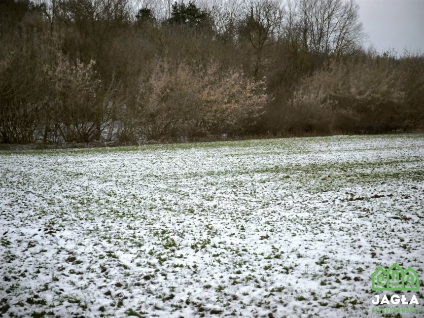 Piękna działka Gruczno 7800m2 miniaturka 3