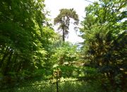 Zalesie Dolne - "osiedle ogród" miniaturka 8