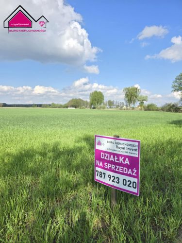 Skrzynka, 83 000 zł, 9.98 ar, rekreacyjna