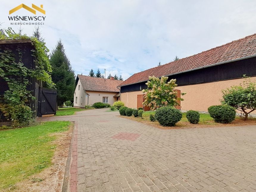 Dom 144m² w Dąbrowie, duża działka i zabudowania. miniaturka 3