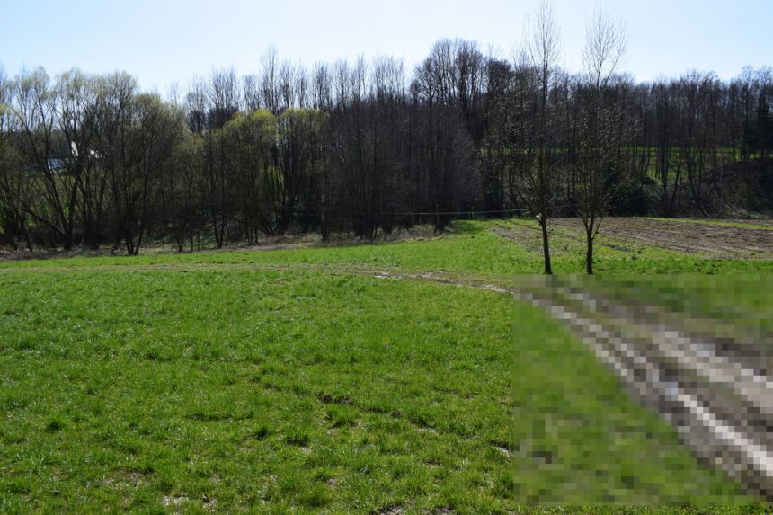 Działka rekreacyjna 40a- Manasterz miniaturka 5