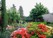 Stare Dębniki – 120 m² z ogrodem! miniaturka 25
