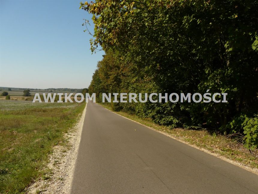 Przewodowice, 145 098 zł, 80.61 ar, rolna miniaturka 3