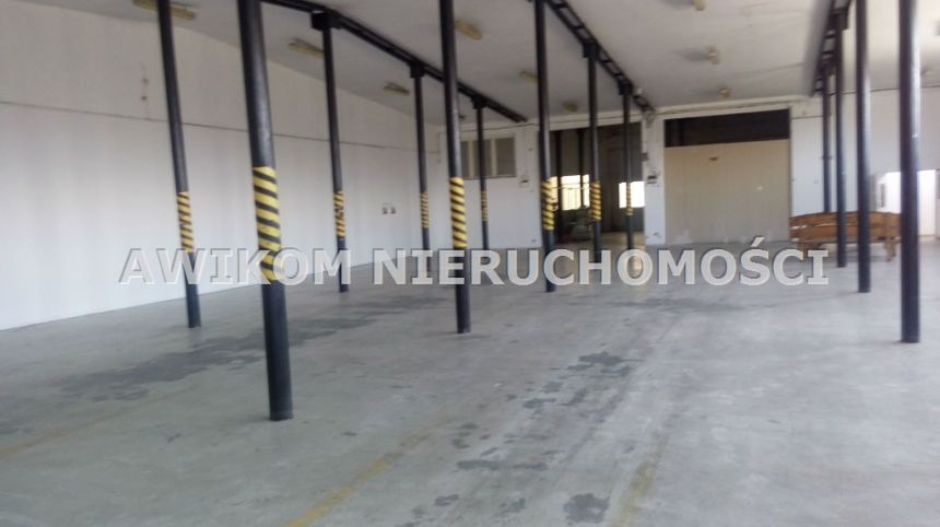 Skierniewice, 28 782 zł, 1300 m2, murowany miniaturka 2