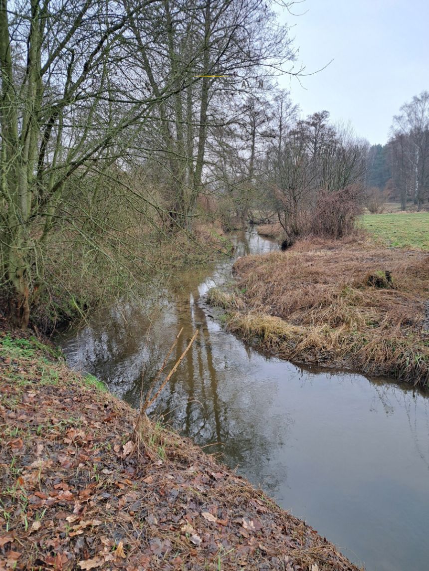 Swędów, 680 000 zł, 40.86 ar, przyłącze prądu miniaturka 11