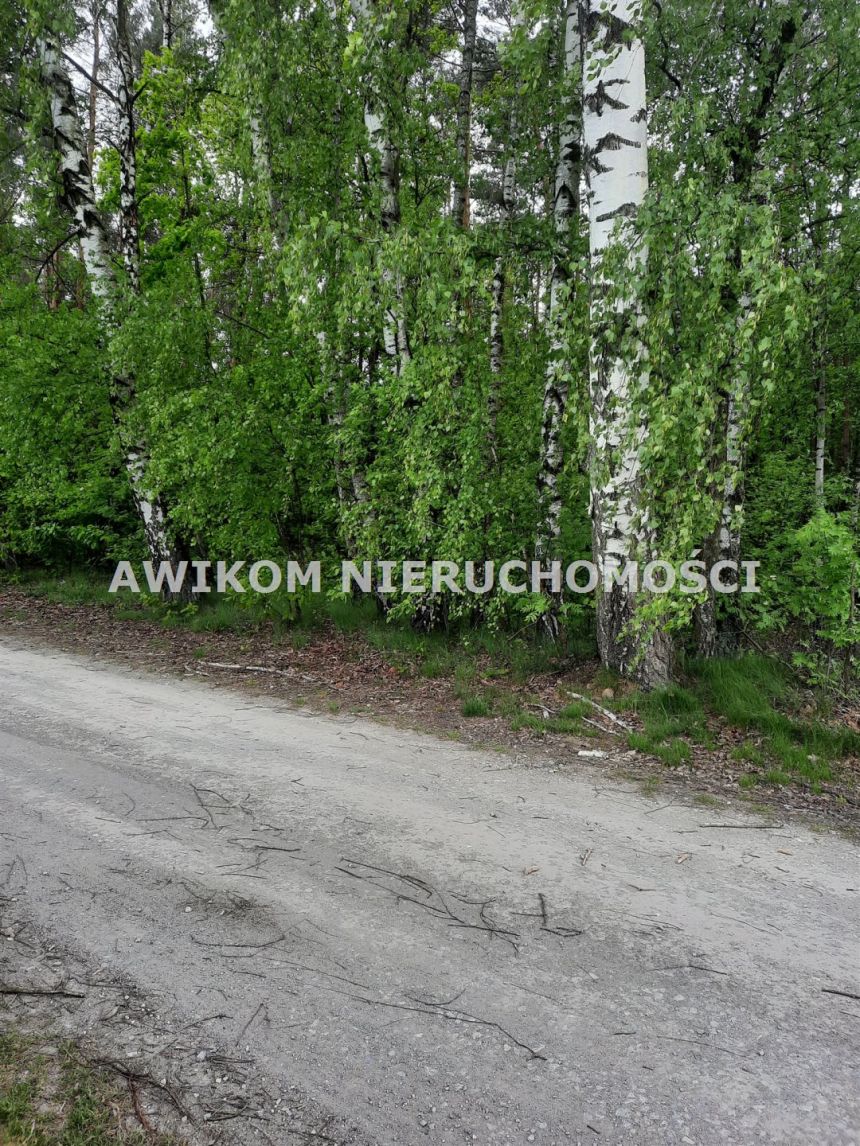 Kornelówka, 400 000 zł, 1.85 ha, przyłącze elektryczne miniaturka 4