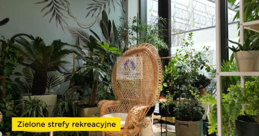 Do wynajęcia: Warszawa Ochota, biuro 413,90m2 miniaturka 5