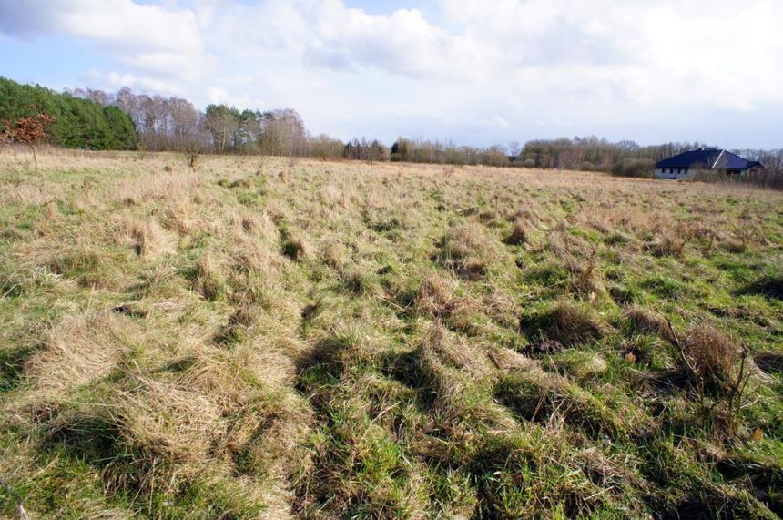 Działka rolno-budowlana o pow. 1073 m 2 miniaturka 5