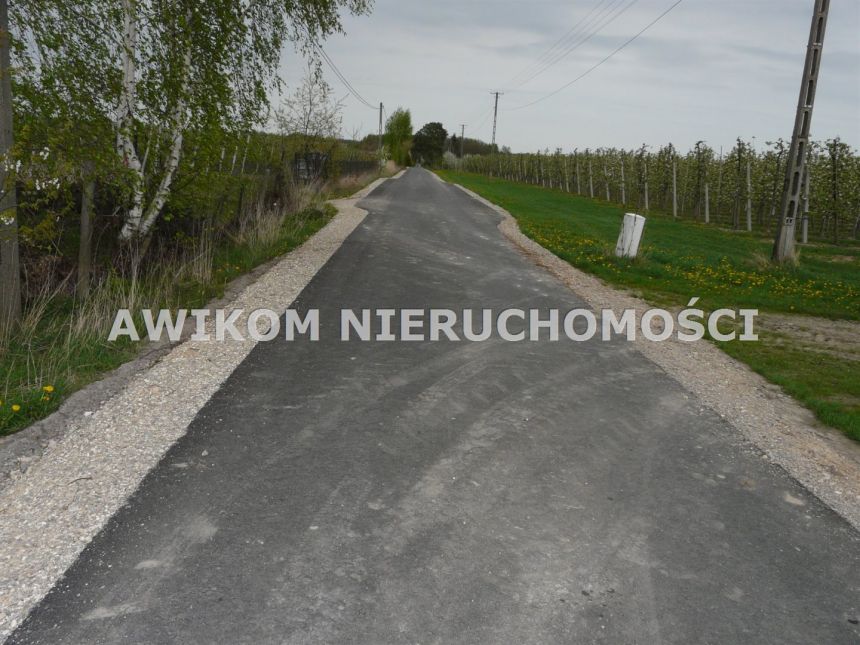 Wycinka Wolska, 124 020 zł, 1.03 ha, woda w drodze miniaturka 3