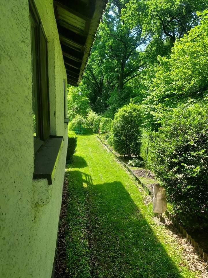 Klimatyczny domek przy Bugu na końcu świata miniaturka 6