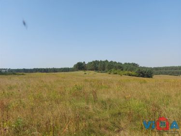 INWESTYCYJNA DZIAŁKA POD ZABUDOWE PRODUKCYJNĄ