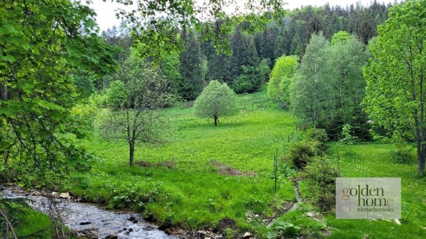 Kletno, 1 990 000 zł, 1.94 ha, przyłącze prądu miniaturka 8