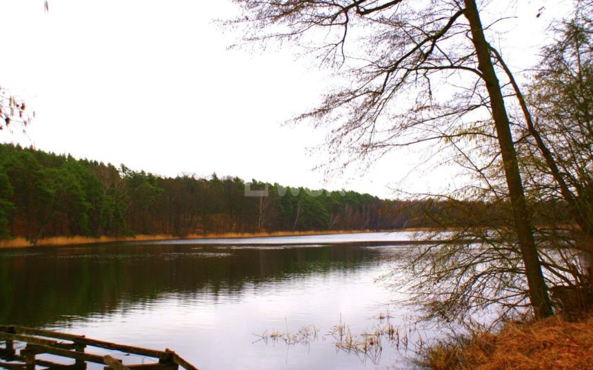 Kuźnica Głogowska Tarnówek, 850 000 zł, 400 m2, jednorodzinny miniaturka 12