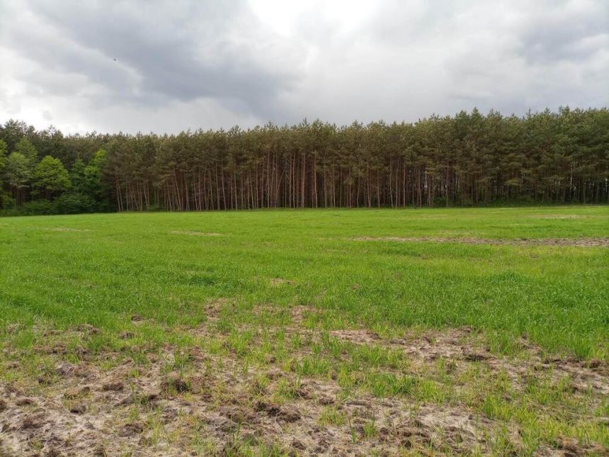 Działki budowlane gmina Lisia Góra miniaturka 2