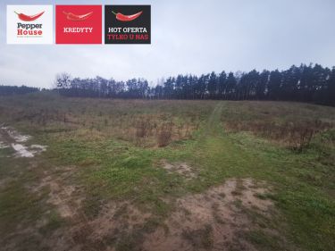 Pierwoszyno, 10 435 040 zł, 1.06 ha, inwestycyjna