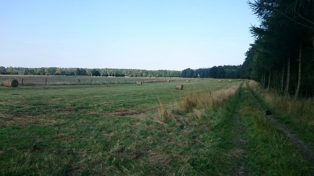 DZIAŁKA POW.3164 M2 PRZYBIERNÓW. miniaturka 5