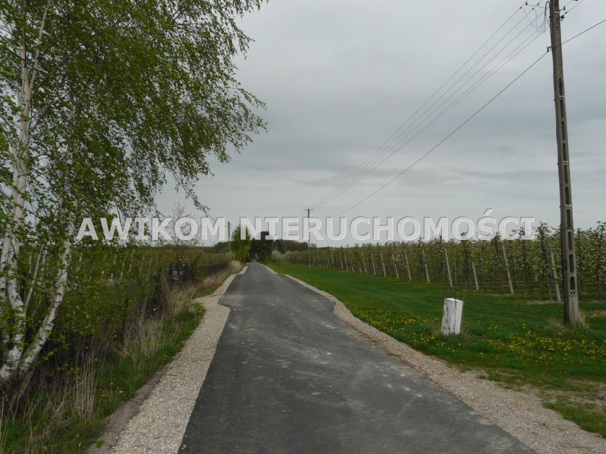 Wycinka Wolska, 124 020 zł, 1.03 ha, woda w drodze miniaturka 5