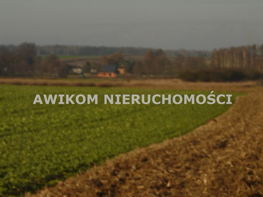 Nowy Dwór-Parcela, 167 000 zł, 1.09 ha, rolna miniaturka 6