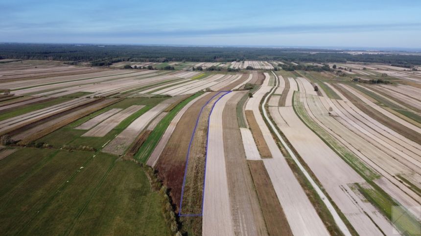 CEWKÓW - działka rolna 1,02 ha miniaturka 1