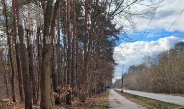 Łomianki Dąbrowa Leśna, 1 998 000 zł, 27 ar, przyłącze prądu