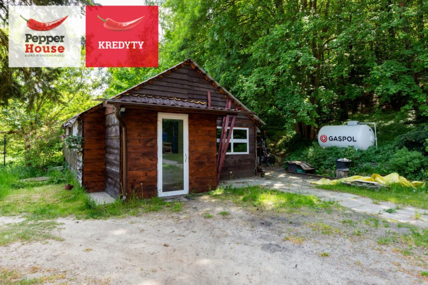 Góra, 1 299 000 zł, 330 m2, ogrzewanie gazowe miniaturka 3