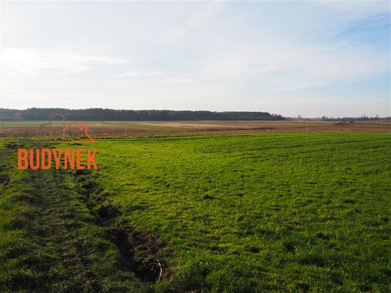 Działka rolna - Krupy miniaturka 6
