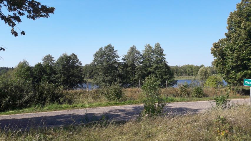 Działka z widokiem na jezioro gmina Olecko - zdjęcie 1