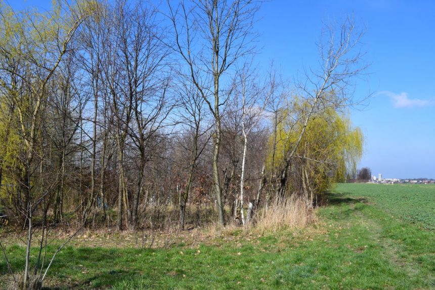 Działka budowlana 12a Rzeszów-Słocina miniaturka 3