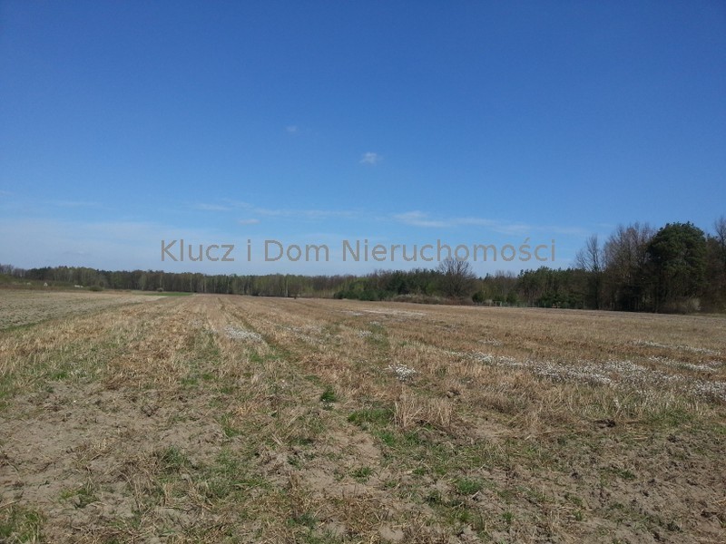 Prażmów, 2 020 000 zł, 3.34 ha, droga dojazdowa utwardzona miniaturka 2