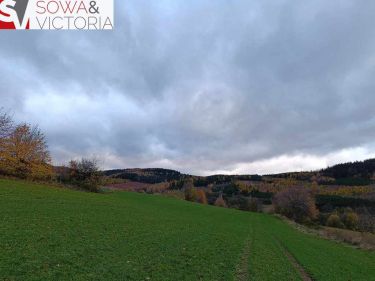 Działka z widokiem na Trójgarb  7 km od Wałbrzycha