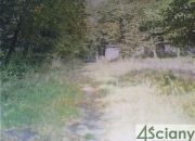 Cegłów, 600 000 zł, 10392 m2, produkcyjno-magazynowy miniaturka 2
