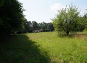 DZIAŁKA GRANICZĄCA Z PUSZCZĄ ZIELONKĄ miniaturka 2