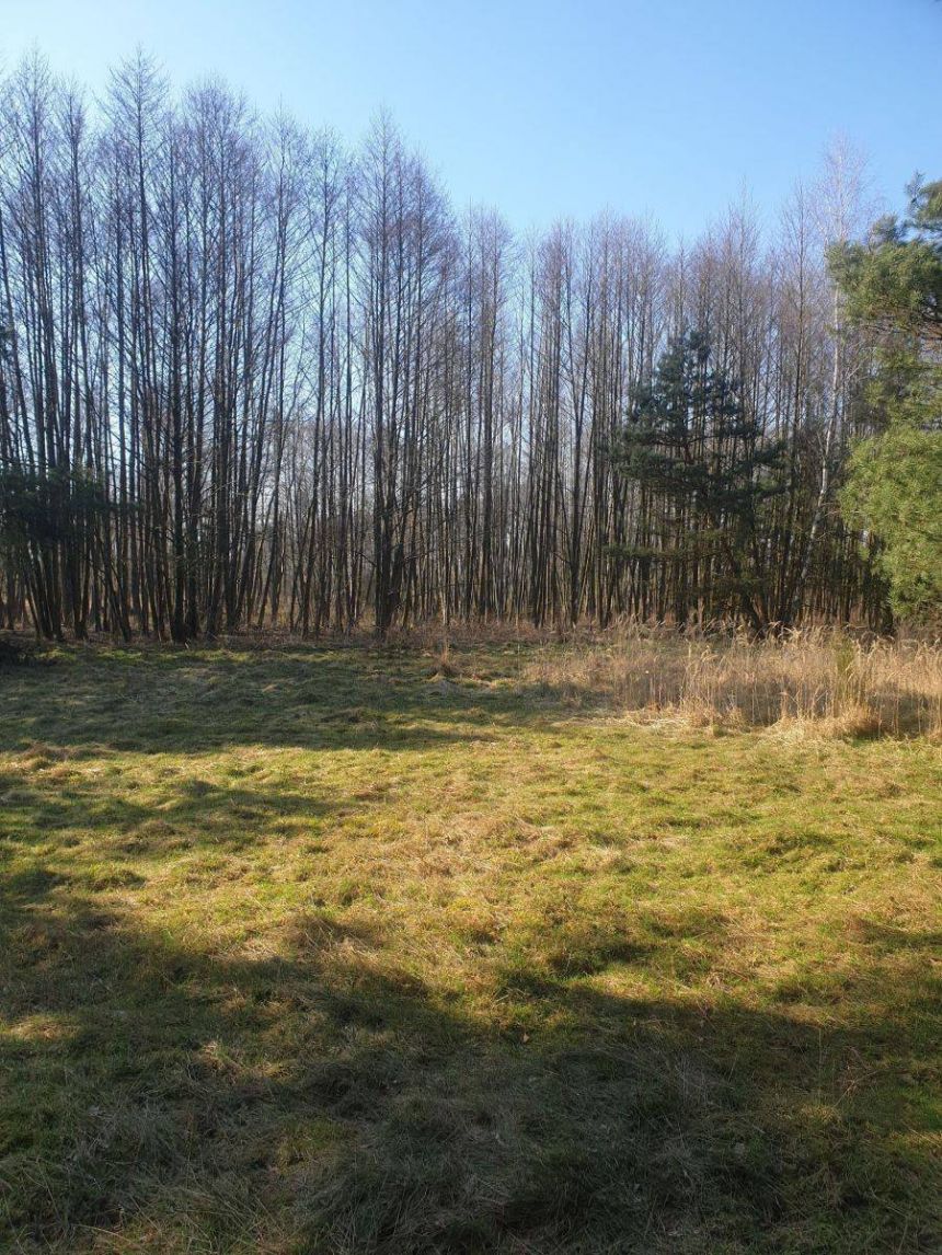 działka - zdjęcie 1