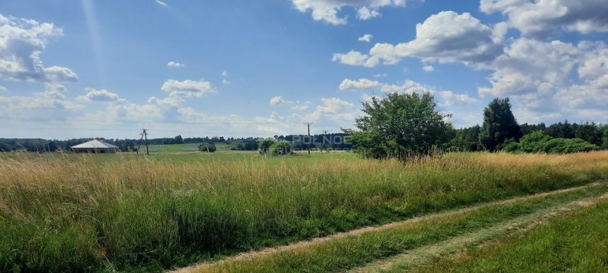 Dzaiłka rolna. Dobrzyniewo Kościelne. miniaturka 7