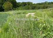 Działka budowlana w Borkowicach, blisko Obornik Ś miniaturka 8