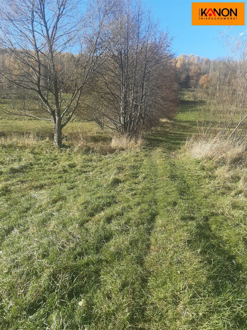 Krzyżowa, 400 000 zł, 20.79 ar, budowlana miniaturka 9