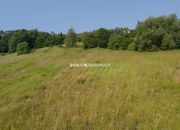 Oferta dla dewelopera - 7900 m2 - Podstolice miniaturka 24