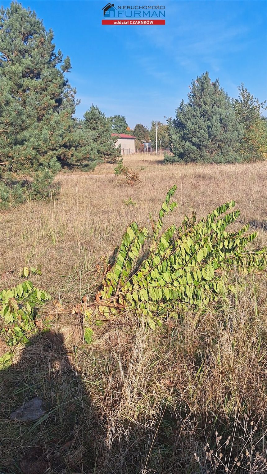 działka na sprzedaż w Wieleniu, wielkopolska miniaturka 7