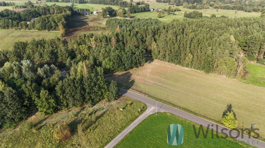 Bieliny, 500 000 zł, 2.49 ha, droga dojazdowa asfaltowa miniaturka 6