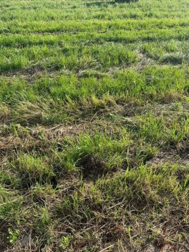 Poddąbie, 160 000 zł, 10 ar, przyłącze wodociągu