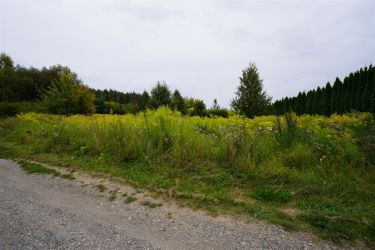 DZIAŁKA LETNISKOWA, BUDOWLANA MŚCISZEWO