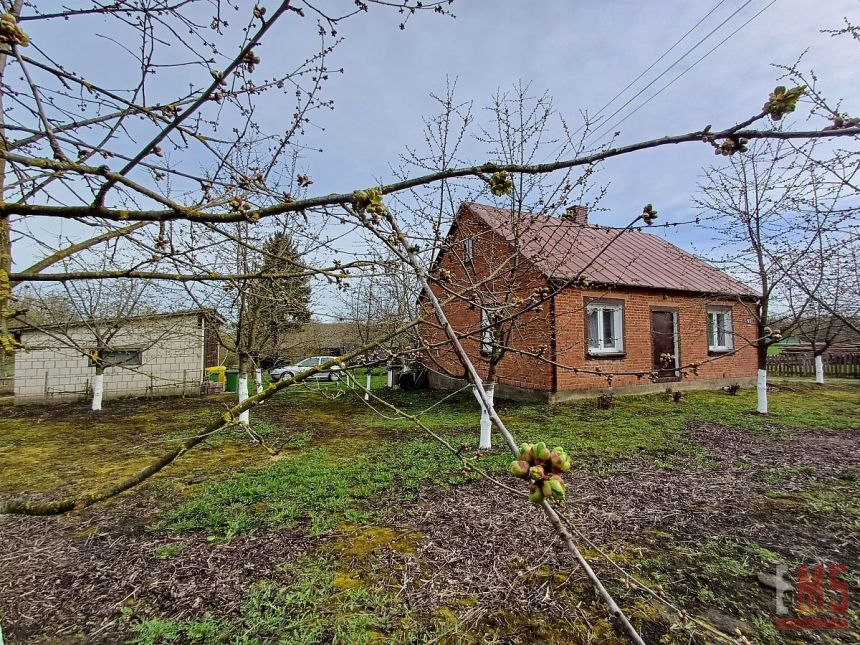 Grodzisk, 550 000 zł, 9300 m2, 5 pokoi miniaturka 2