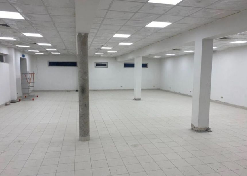 Lokal handlowo-usługowy – 252 m² + działka 1600 m² - zdjęcie 1