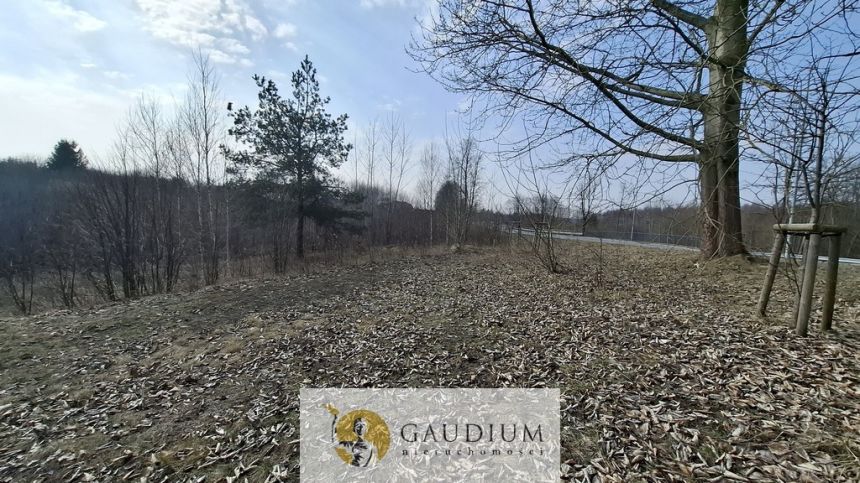 Morąg, 169 000 zł, 94 ar, woda w drodze miniaturka 11