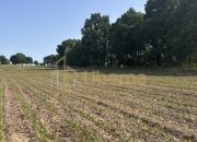 Działka z W.Zabudowy w Radzanku –Gm.Maszewo miniaturka 8