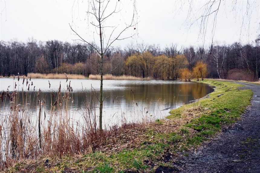 2 pokoje w bloku Zabrze blisko jeziora miniaturka 9