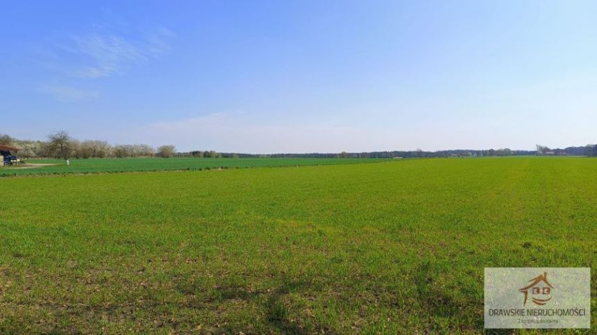 Łosośnica, 310 000 zł, 7.72 ha, rolna miniaturka 7