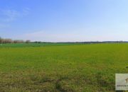 Łosośnica, 310 000 zł, 7.72 ha, rolna miniaturka 7