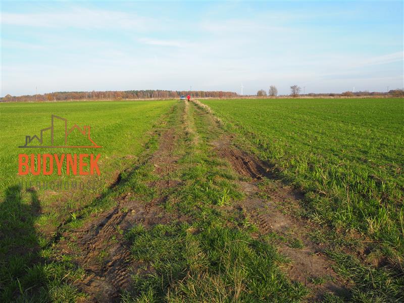 Działka rolna - Krupy miniaturka 11