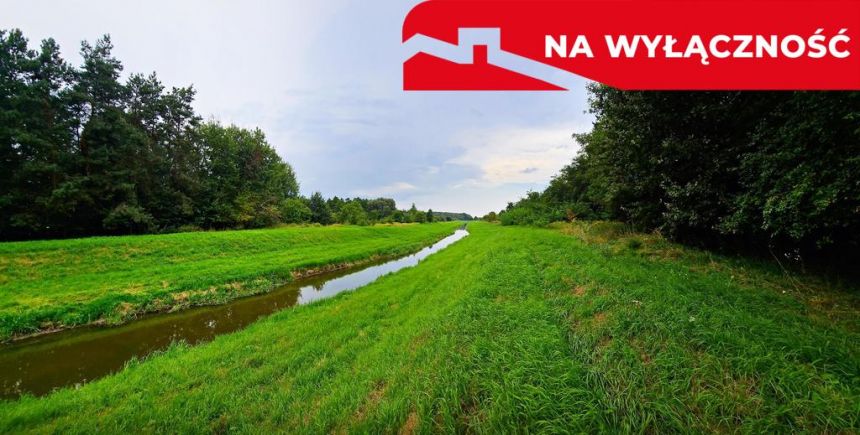 Łąki przy kanale - częściowo pod wydobycie torfu!! miniaturka 5